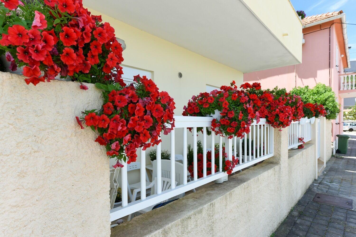 Apartments Kolt - 15M From Sea Kali Dış mekan fotoğraf